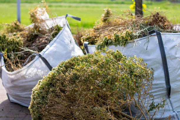 Best Yard Waste Removal  in Keansburg, NJ
